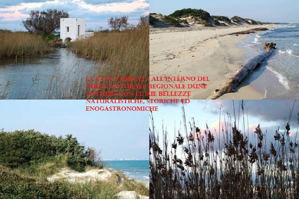 Blue Sea Apartment Torre Canne Bagian luar foto